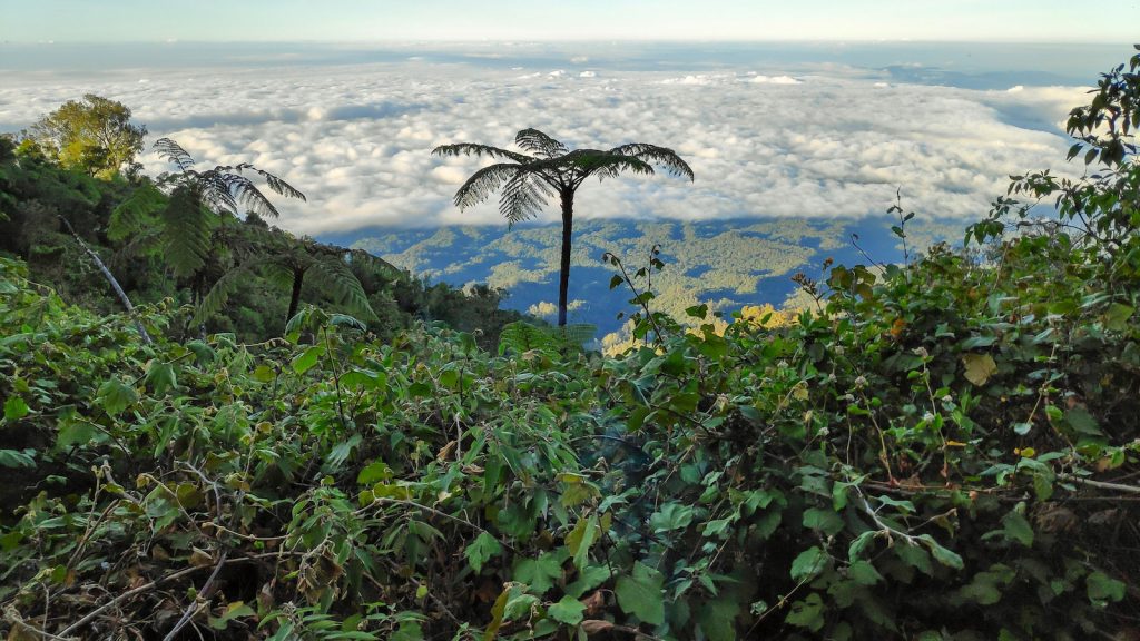Pemandangan dari camp 7 gunung raung Gunung Raung
